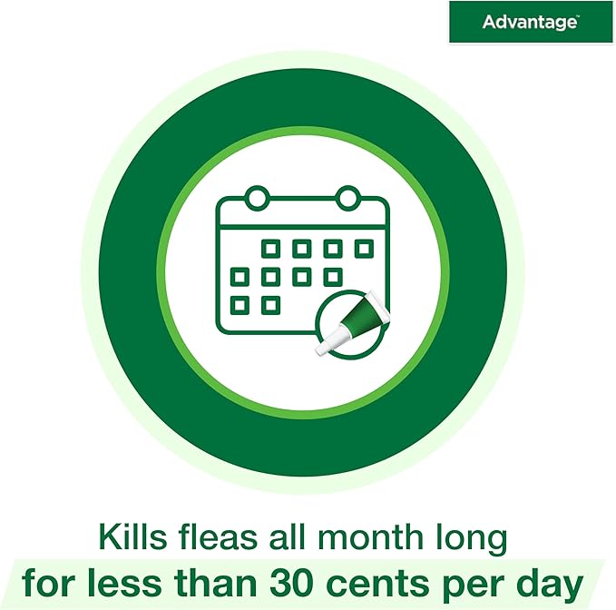Advantage Topical Cat Flea Treatment and Prevention for Large Cats Over 9 lbs. | Apply Flea Drops Monthly | 2 Treatments