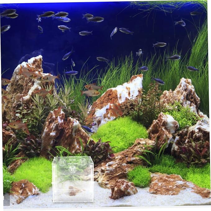 Kisangel Fish Breeding Box Acrylic Isolation Tank for Aquatic Fry Easy to Install Cups Fish Tank Accessory for Newborn