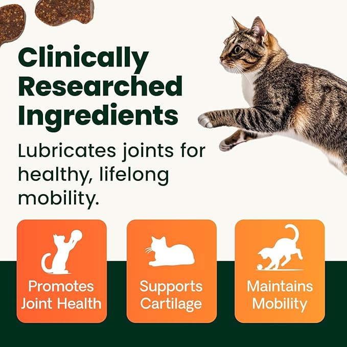 VetriScience Ultimate Strength Healthy Hip & Joint Chews, GlycoFlex Glucosamine, Chondroitin and Green-Lipped Mussel Joint Supplement for Cats, Soothe Joint Discomfort, Chicken, 30 Count
