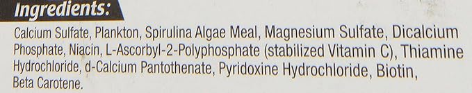 Zoo Med Laboratories AZMBB6 Plankton Banquet Block Feeder Giant, 1 Count (Pack of 1)