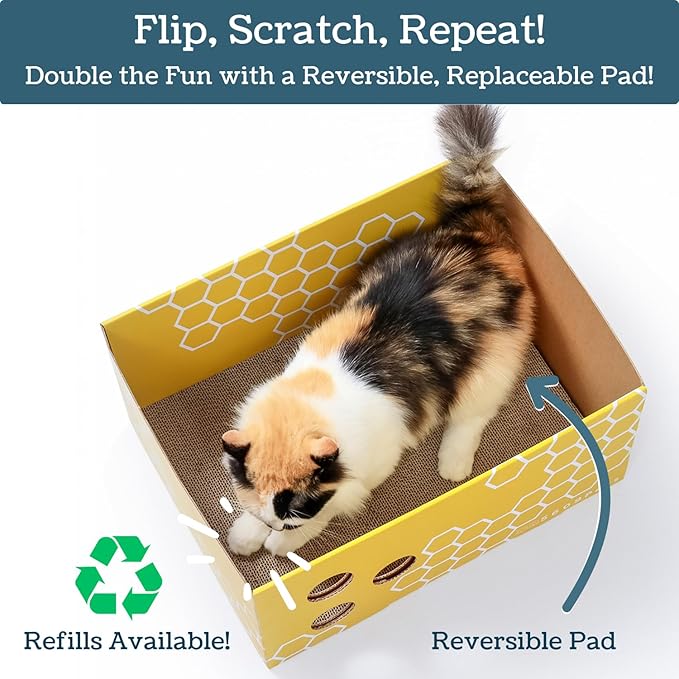Extra Large Cardboard Cat Scratcher with Refillable Double-Sided Scratch Pad, No‑Mess Cat Scratching Box for Indoor Cats