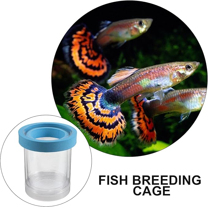 Happyyami 2pcs Fish Breeder Box Aquarium Isolation Box with Suction Cups Floating Acrylic Hatchery Incubator for Guppy Fry Betta Fish Tank Breeding Supplies