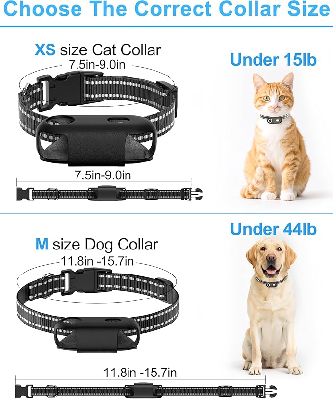 Dog Camera Collar with Phone APP, 1080P HD Video Recording Pet Camera Collar – Cordless Lightweight Rechargeable Pet POV Cam for Curious Cats & Adventurous Pups-M-Size Dog Action Cameras