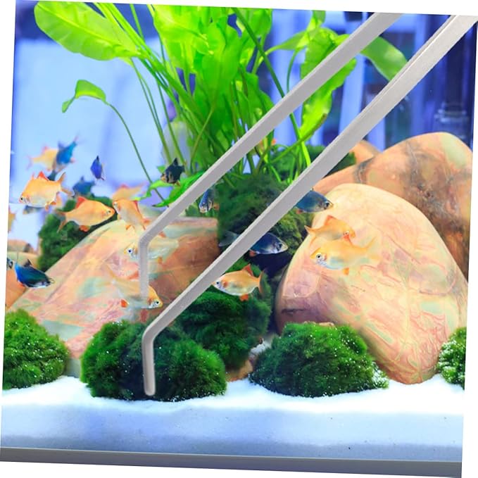 BESPORTBLE 2pcs Stainless Steel Aquarium Plants Tweezers Straight Curved Tongs for Fish Tank Maintenance Trimming Tools for Aquatic Plants Care