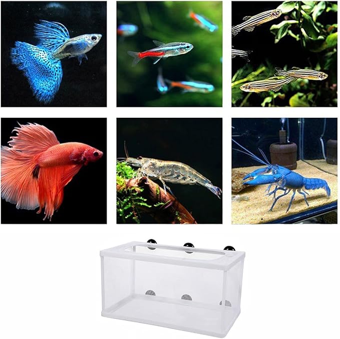 Large Fish Breeder Net with Suction Cups Nylon Mesh Fish Fry Hatchery Breeder Isolation Box Separation Net for Plants/Shrimp on Aquarium Tank