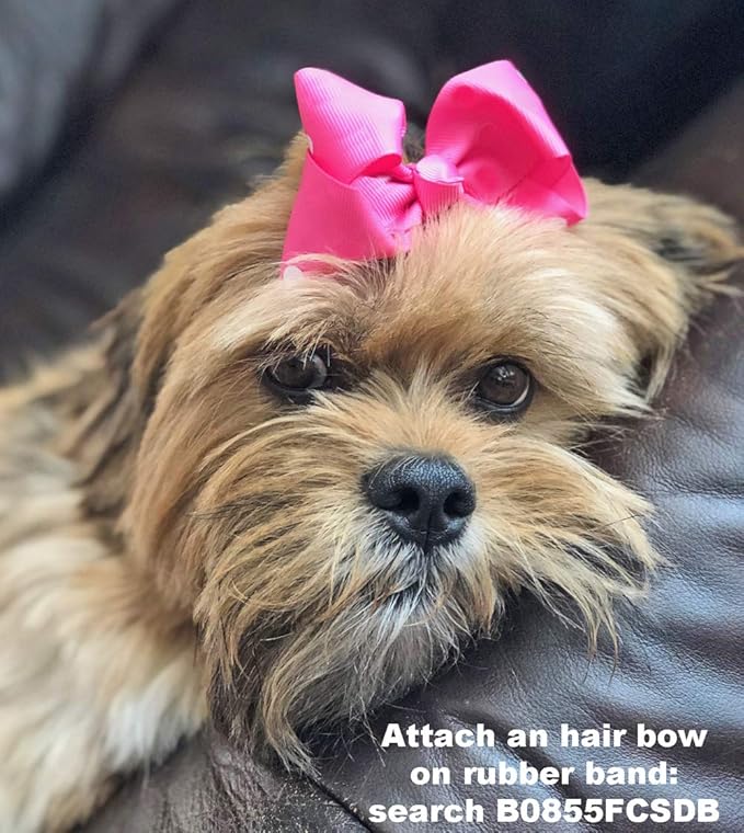 200 Clear Hair Ties and Rubber Bands for Hair, Women, and Girls - Mini Ties for Pet Grooming and Hair Accessories
