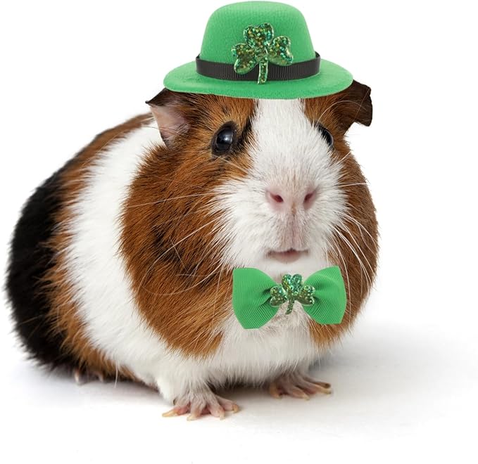 Guinea Pig Saint Patrick's Day Hat Bow Tie Set Small Animal Irish Green Top Hat with Shamrock Décor St.Patrick's Day Costume Accessories for Rabbit Bunny Ferret Bearded Dragon Puppy Kitten