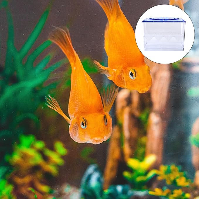 Small Fish Breeding Incubator Box Freestanding Hatchery Isolation Tank No Gap Seamless Design for Aquarium Fish Hatching and Reproduction