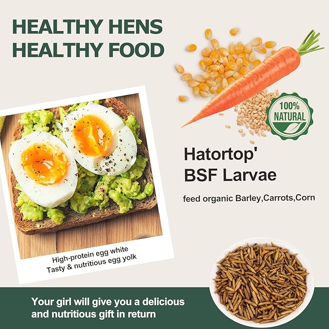 2LB Dried Black Soldier Fly Larvae for Chickens Treats Bulk, Non GMO BSF Larvae 85X More Calcium Than Dried Mealworms for Laying Hens, Chicken Worms for Wild Birds