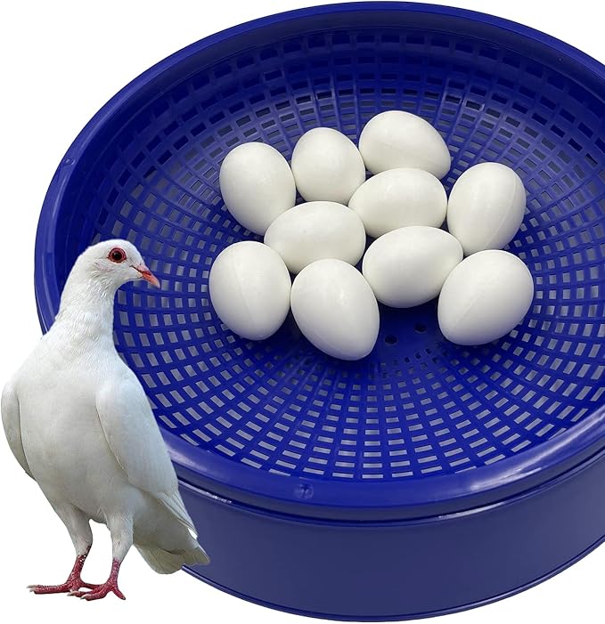 10pcs Solid Plastic Pigeon Eggs Fake Eggs for Racing Pigeons Hatching Supplies