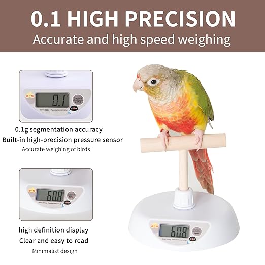 Pet Scale for Birds, Parakeet Weight Scale, HD Backlit Display Capacity 1.1lbs(500g) High Accuracy 0.1g Scale Easy Install Bird Training Stand and Perch Designed for Small Birds & Reptiles