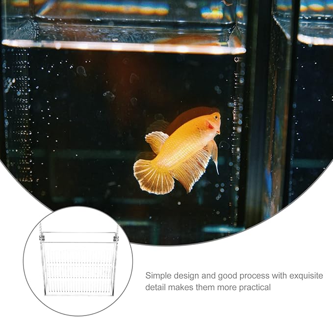 Fish Breeding Box for Aquariums Lightweight Isolated Breeder Tank Viewing for Guppies and Newborns Easy to Install Hanging Design