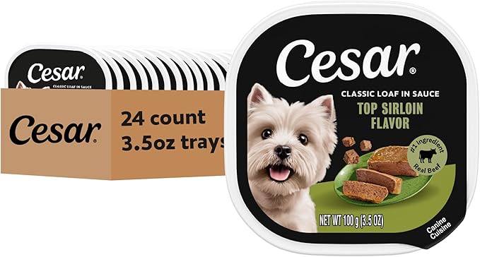 Cesar Classic Loaf in Sauce Adult Wet Dog Food Top Sirloin Flavor, 3.5 oz. Easy Peel Trays, 24 Count (Pack of 1)