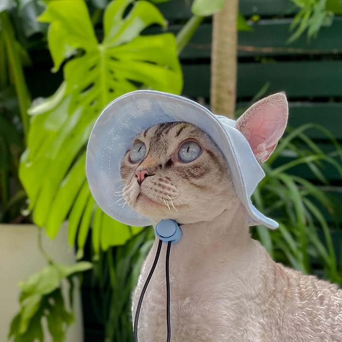 Pet hat with Ear Holes Sunscreen Baseball Cap Suitable for Small and Medium-Sized Dogs Outdoor Climbing hat in Summer Pet Products (Blue, Small)