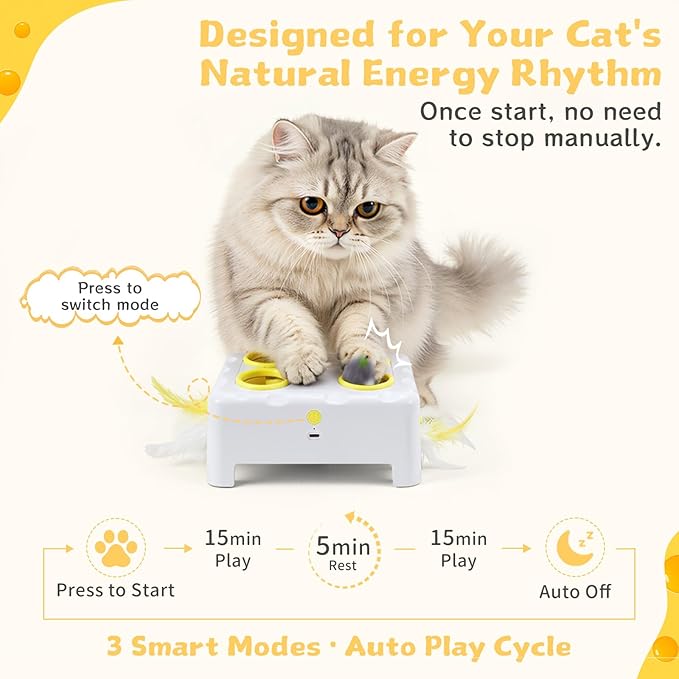 Interactive Cat Toy for Indoor Cats, 3 Modes Feathers Toy, Rechargeable 4 Holes Mole Cat Toys, Cheese Box for Kitten, 4 Accessories (White)