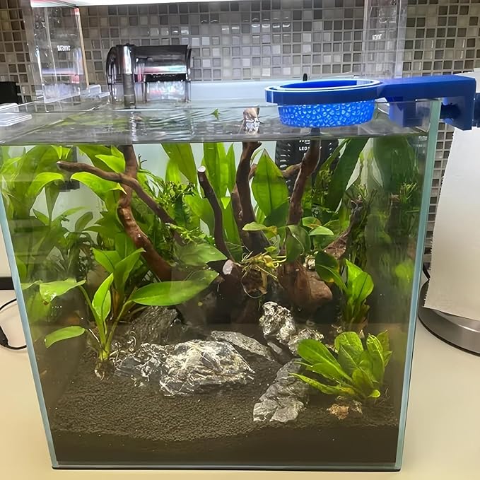 Spill-Free Aquarium Water Changer, for Rimless/Rimmed Tanks, Protects Plants & Substrate During Water Changes,Gentle Flow Design (Regular/Jumbo Size) (Regular)