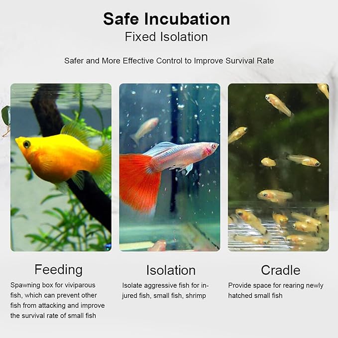 Acrylic Transparent Fish Tank Breeding Isolation Box, Aquarium Hatchery Incubator Holder with Suction Cup and Hook for Freshwater Tropical Fish Fry Rearing (30CM*10CM*10CM)