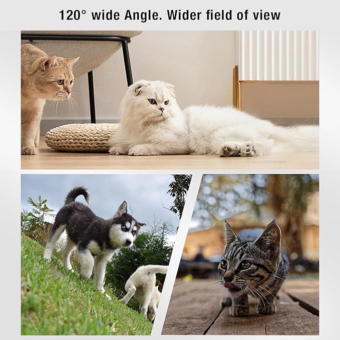 Cat Video Camera Pet Collar Camera 120 Deg Lens OTG Connection Video Recording Adjustable Magnetic Cat Sport Camera for Outdoor (Black)