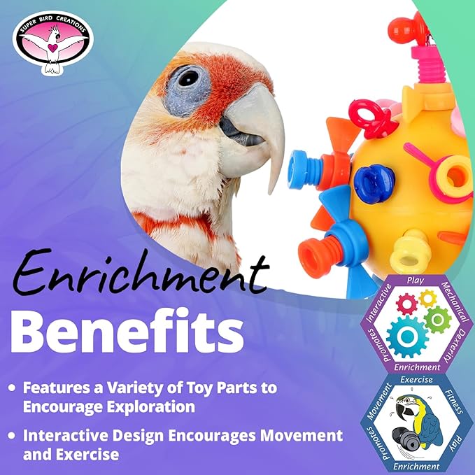 Super Bird Creations SB1215 Screwball Bird Toy - Interactive Mechanical Bird Toy for Large Birds - African Greys, Parrots, Small Cockatoos, Mini Macaws - Encourages Exploration and Physical Exercise