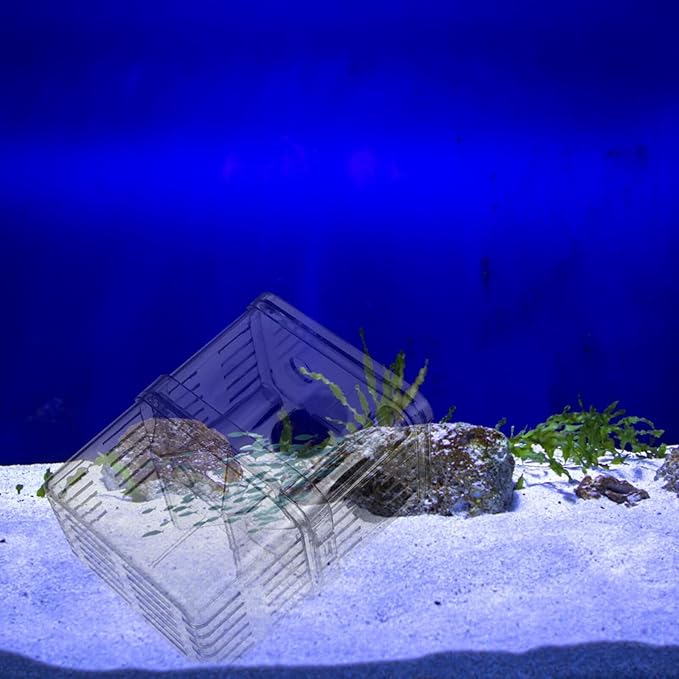 Fish Breeding Tanks Fish Tank Box 2Pcs Breeding Box Plastic Boxes Aquarium Acclimation Hatchery Incubator for Shrimp Clown Guppy
