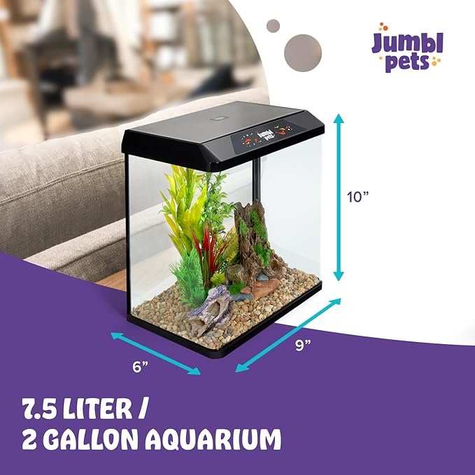 JumblPets Starter Fish Aquarium Kit, 2 Gallon, Complete Beginner Glass Fish Tanks Set with LED Lighting, Internal Filtration System, Filter Media Set, Hood & Lid, Ideal for Freshwater and Marine Fish