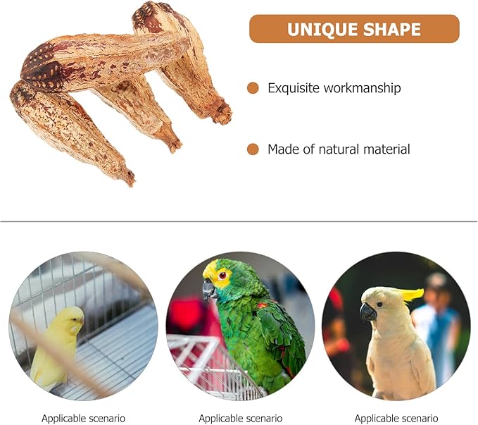 4pcs Natural Parrot Foraging Bird Chewing Fun Safe Chew Treats for Cage Birds Cockatiels Macaws African Greys Budgies