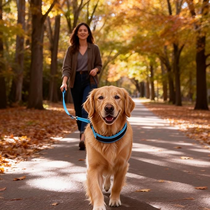 Lightweight Prong Collar for Dogs, Reflective No Pull Dog Collar | Adjustable Size Dog Pinch, Breathable Woven Fabric Air Grid Technology, Martingale Collar for Dogs Training(Blue-XL)