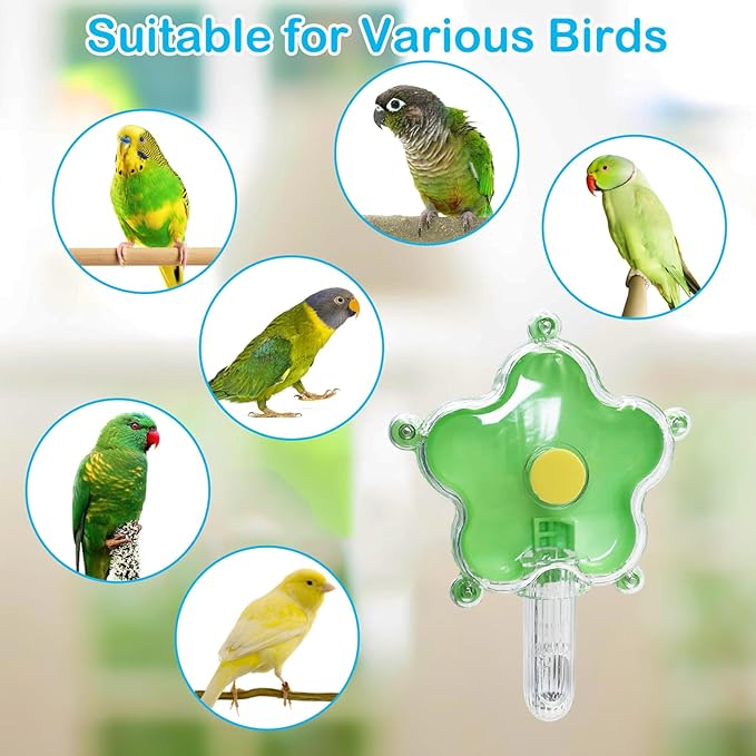 BNOSDM Bird Foraging Toys Cockatiel Foraging Wheel Parrot Cage Spinning Toys Parakeet Enrichment Puzzle Feeder Toy for Budgies Lovebirds Canaries (Green)