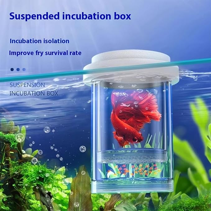 Net Breeding Box Floating Hatchery Incubator Quick Setups in Tanks Multipurpose Fish Shrimp Habitat Mesh Breeding Habitat