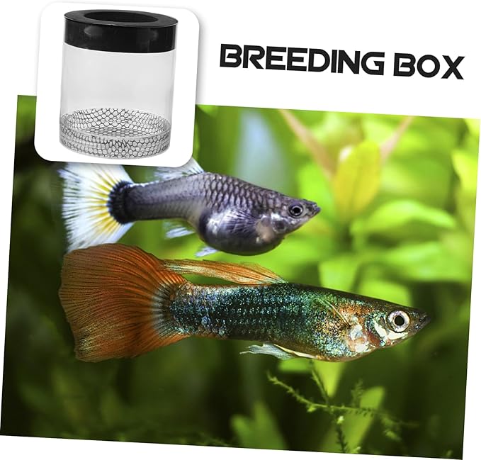 Fish Tank Hatching Box Floating Breeding Box Survival Rate Enhancer for Baby Fry Fish