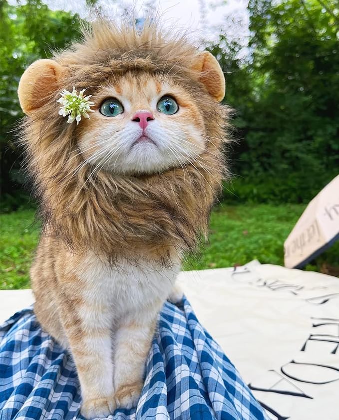 Lion Mane Wig for Cat,Cat Costume,Puppy Costume,Funny Pet Costumes for Halloween Christmas, Funny Pet Clothing Accessories (Large, Dark Brown)