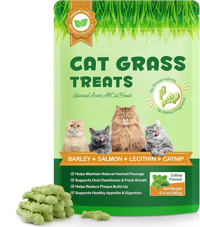 Cat Grass Treats, Cat Treats for Indoor Cats, Promotes Natural Hairball Passage, Reduce Plaque Build-Up Support Fresh Breath, Cats Dental Care Bites Kitten Snacks Training Biscuits, Catnip Flavour