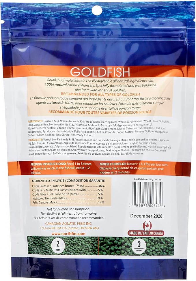 Northfin Goldfish