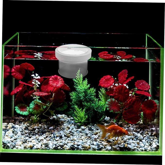 NOLITOY 2pcs Fish Breeding Box Floating Tank for Small Fish Water Permeable Design Easy to Clean High Convenient Aquarium Hatchery