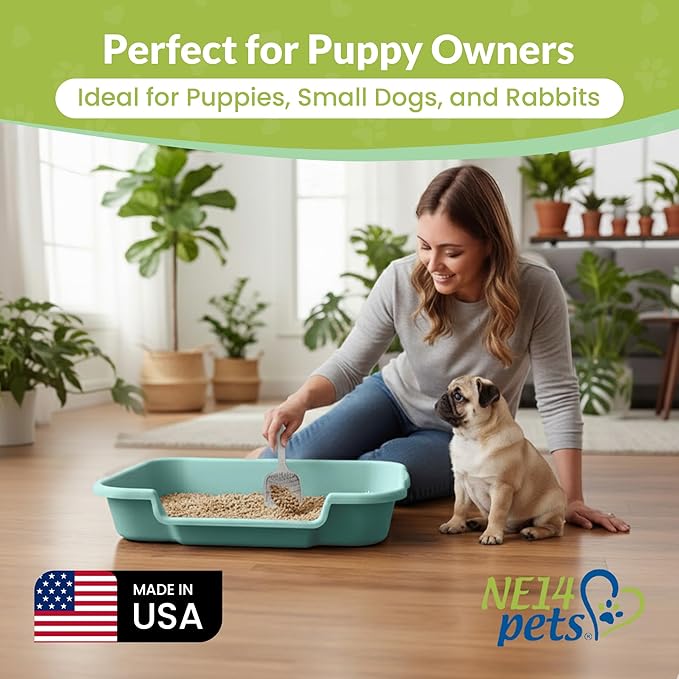 Dog Litter Box, Apple Green Color, Large Size, Durable & Pet Safe Puppy Litter Box, Indoor Open Top Entry Dog Litter Pan, Comfortable for Dogs, Great for Dogs up to 20 lbs (2 Pack)