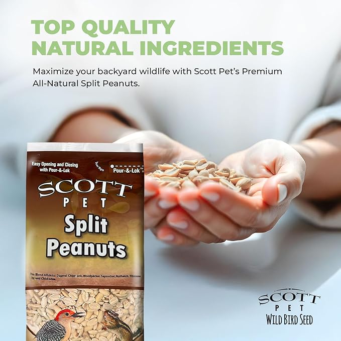 Scott Pet Wild Bird Seed, Peanuts Split (No Shell), 8 lbs Bag, Great Source of Protein and Fiber, Peanuts for Outside Wild Birds