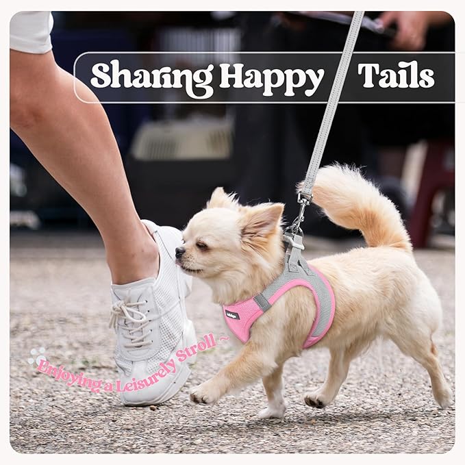rabbitgoo Dog Harness Small Sized and Leash Set, Step in Soft Light Puppy Vest, Breathable Mesh Pet Harness, Reflective for Safe Easy Walking, Pink & Gray S