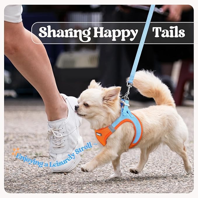 rabbitgoo Dog Harness Small Sized and Leash Set, Step in Soft Light Puppy Vest, Breathable Mesh Pet Harness, Reflective for Safe Easy Walking, Blue & Orange M