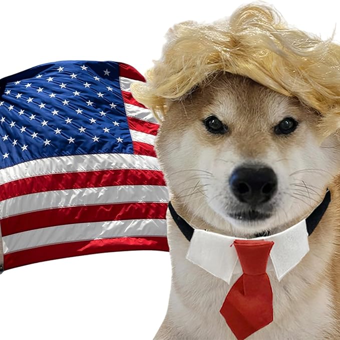 Funny Blonde Dog Wigs and pet Collar with red tie Set Large Dog Costume for Halloween Cat and Small Animal Costume