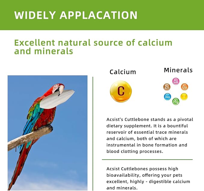 4.3"-4.7" Cuttlebone for Birds,Natural Cuttlefish Bone for Parakeets, Cuddle Bones for Sharp Beak, Premium Bird Calcium Stone for Parrots Budgie Cockatiel,12 Pcs