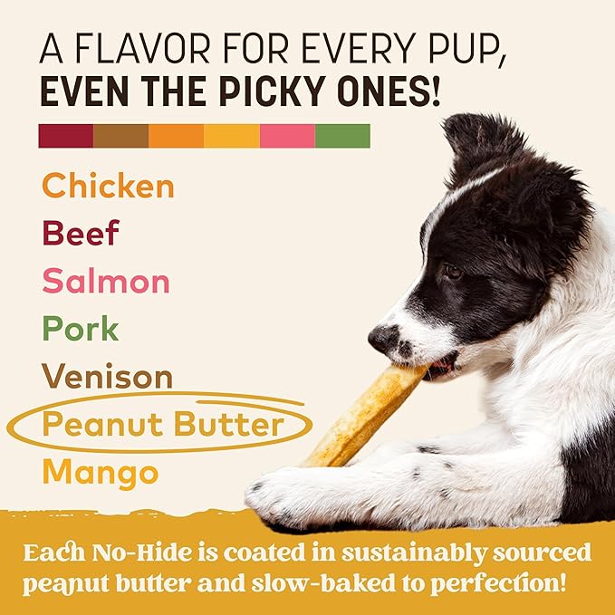 Earth Animal No Hide Chews - Long Lasting Rawhide Free Medium Dog Chews Rolls, Peanut Butter - 2 Count