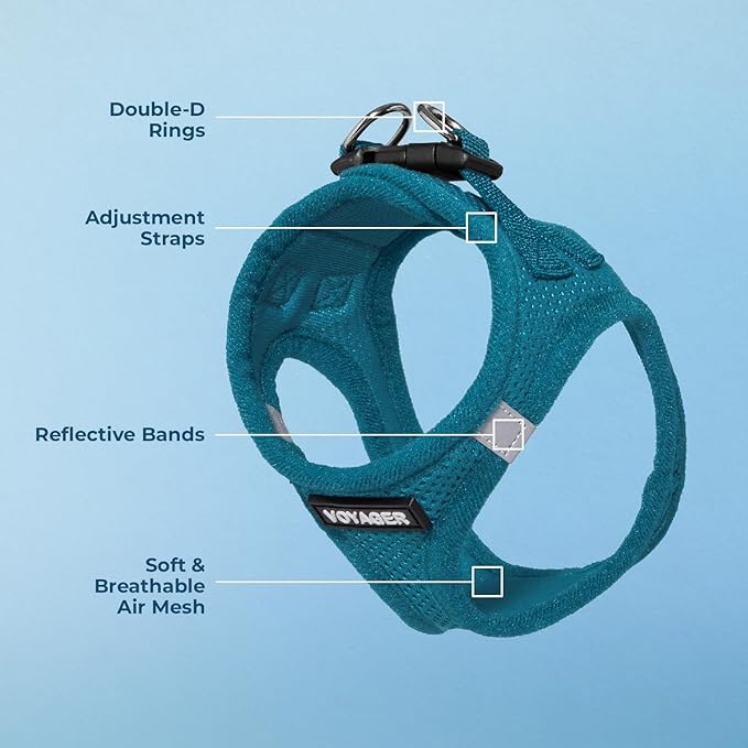 Best Pet Supplies Voyager Step-in Air Harness - All Weather Mesh, Reflective, No Pull Harness for Dogs, Cats - Secure with Hook & Loop Fastener, Buckle, Double D-Rings - Turquoise, XXXS