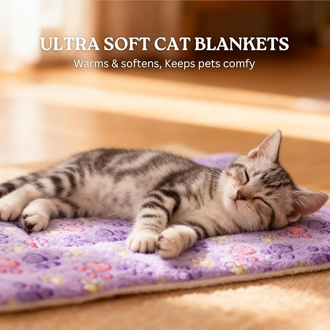 2 Pack Cat Blankets for Indoor Cats, Ultra Soft Reversible Mat, Fluffy Flannel Blanket for Small Dogs and Cats, Washable Pet Pad