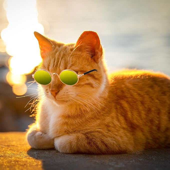 10 Pieces Cat Dog Sunglasses Funny Pet Glasses Round Metal Small Classic Retro Sunglasses Pet Hippie Cute Dog Cat Cosplay Party Costume Photo Props Cosplay Glasses(Mixed Color)