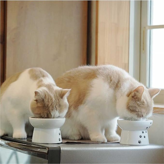 Necoichi Elevated Cat Food & Water Bowl – Ceramic Raised Cat Bowls for Whisker & Neck Fatigue, Dishwasher Microwave Safe – Anti Vomiting Ergonomic Design, Pet Bowls for Food & Water (Cats, Regular)