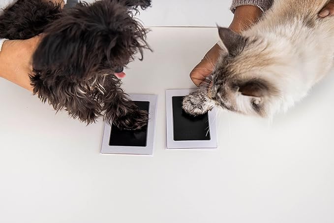 Pearhead Paw Print Clean-Touch Ink Pad, Mess Free Inkless Pet Impression Kit, Safe for Cats and Dogs, Pawprint Keepsake, Pack of 2