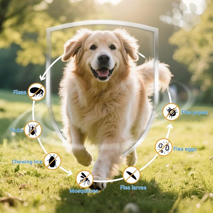 Flea and Tick Prevention for Dogs, 200 Soft Chews Natural Dog Flea and Tick Chewables Oral Flea Supplement for Dogs, Puppy Flea Support - All Breeds & Ages - Chicken Flavor
