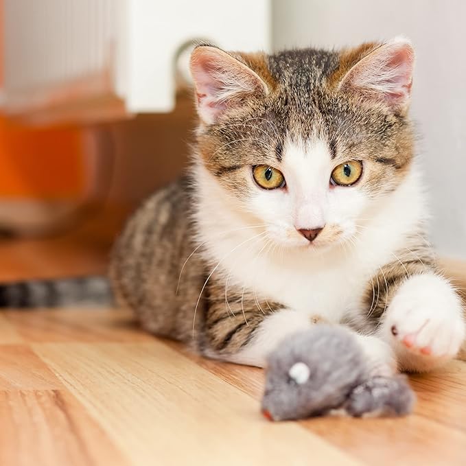 Smokey's Stash Rabbit Fur Mouse Cat Toy 12 per Pack White and Gray Fuzzy Toys for Cats with Rattle Realistic Fake mice (12)
