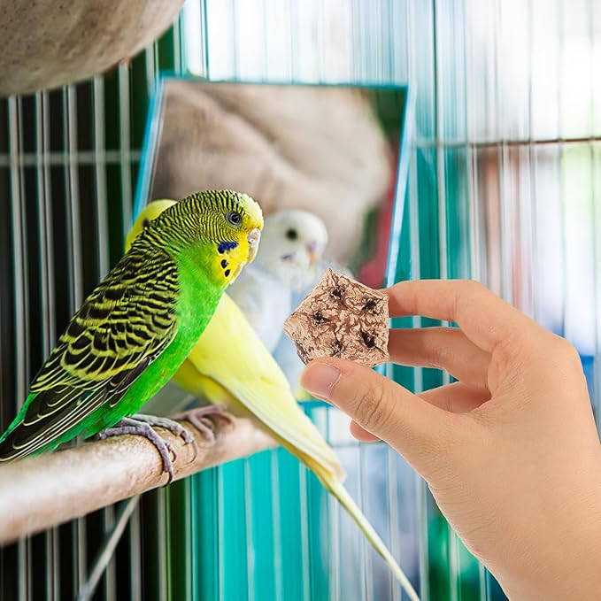 POPETPOP Parrot Foraging and Bird Shredding Natural Chewing Blocks 12Pcs Healthy Wooden Chew Treats for Parakeets and Small Birds Cage Accessories