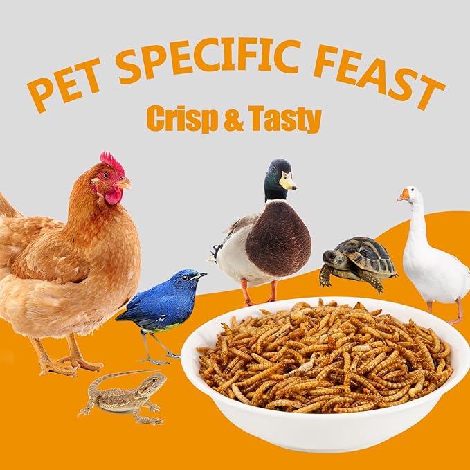 2LB Dried Mealworms, Non-GMO Meal Worms for Chickens & Birds, High Protein Chicken Feed, Natural Chicken Worms Ideal for Wild Birds, Reptile Tasty Bird Food